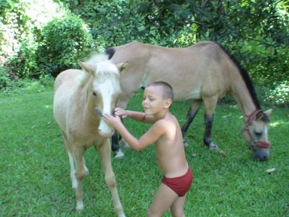 photo par valou-nc Trop beau les 2 petits