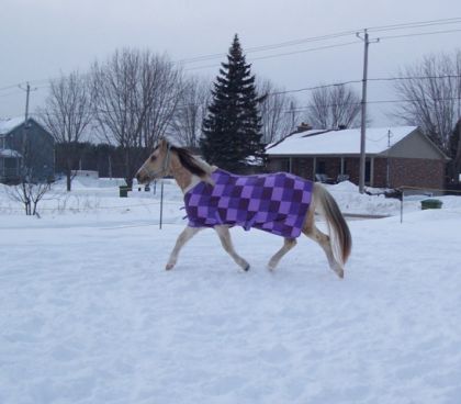 ma butter entrin de jouer dans la neige avec ca belle couverte !