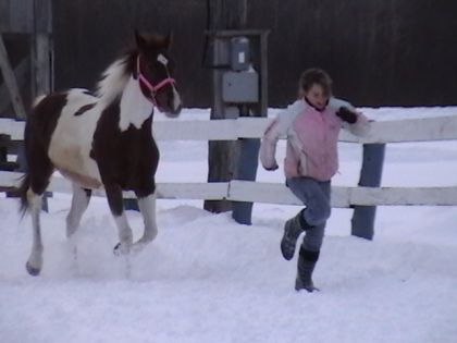 Cours Ariann Cours !! XD