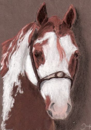 Le portait de dominant color ( le père de mon superbe guilding )...