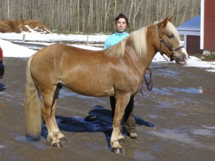 Mon super poney tout brillant lol !