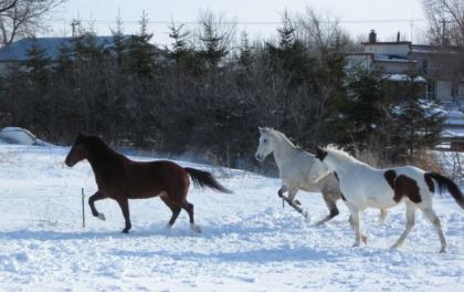  La photo est cool !... Tk moi je trouve