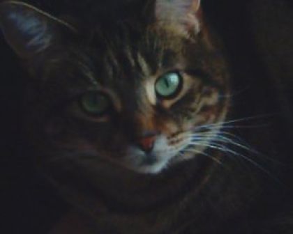 Ma Matoune Tami