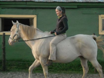 Nob et moi cet automne