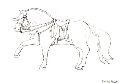 Un cheval que j'ai dessiné hier, en essayant de lui donner le...