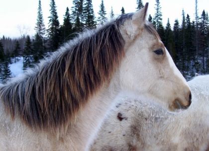 Encore une photo de mon beau Sunny Boy... Il grandit en beauté!