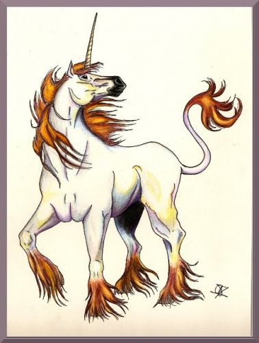 dessin d elicorne que jai fait le 12 janvier 09...les couleur on...