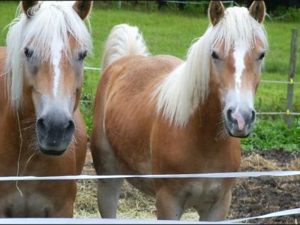 Encore les Be-B de Cath..!J'ai aime trop ses...