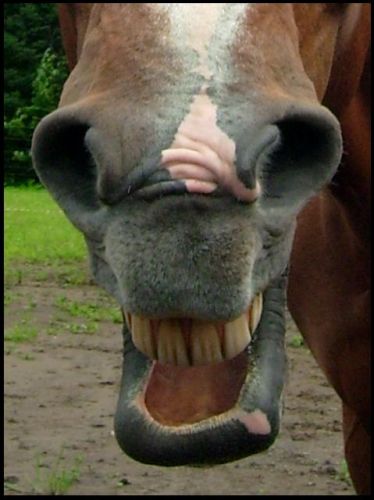Hahahahaaaa!!!! LOL.