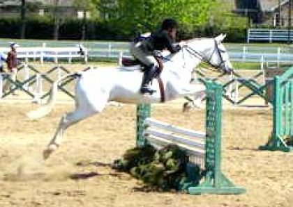 concours défi sportif 2007 à BLainville
