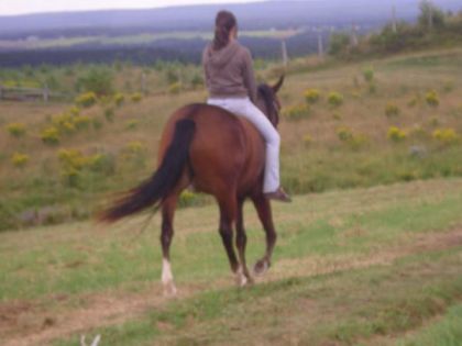 Moi et mon cheval pas de selle