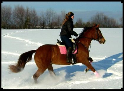 Moi et Jolly en rando au début de l'hiver!!! :)