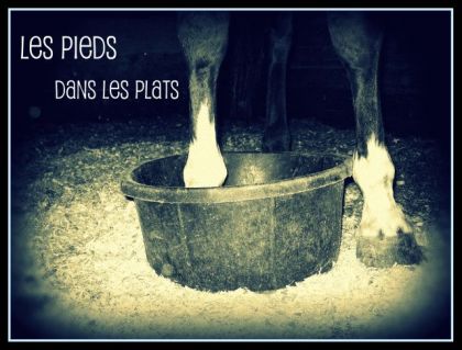 Belle et bien les pied dans les plats !