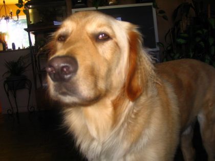 raffy