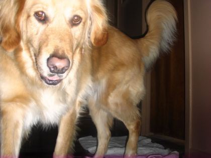 raffy !