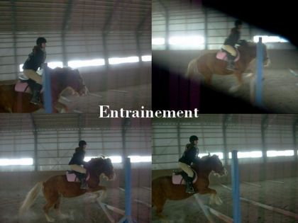 Voila moi sur la petite sally une ponnette Haflinger que moi et...