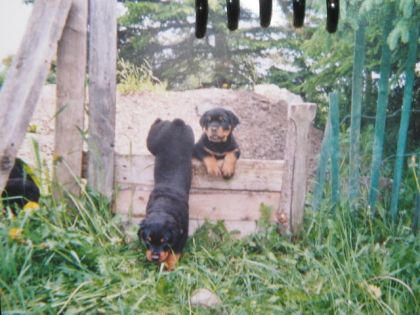 Magy et Balloux dans leur enfance