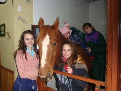 Mon cheval Chex avec pleins d'amies :)