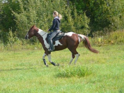 mélo au galop en trail