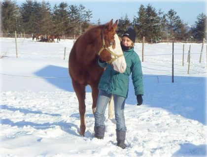 Moi et Mon cheval
