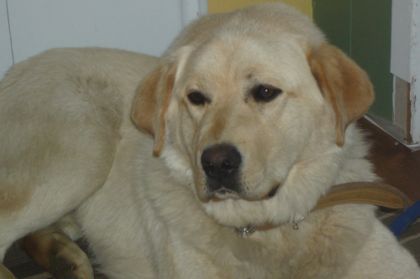 Ma fille, Tonka!