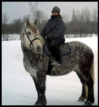 Mon gros était attentif au bruit....;)