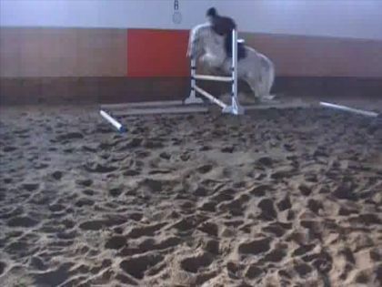 Moi pis sunny fait trèssss longtemps