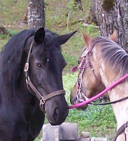 kate et gitane