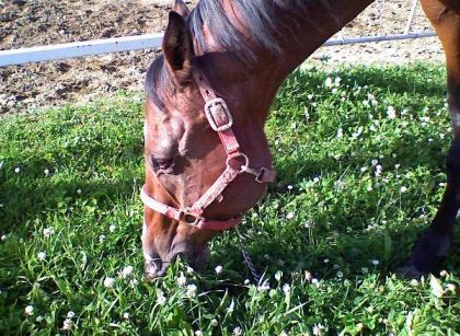 photo par sunshine:)