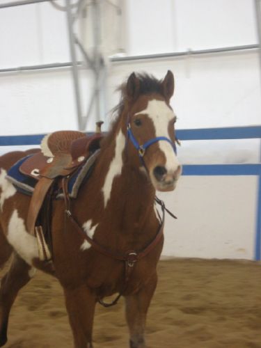 Tout en muscle mon Baby :D Je t'aimeeee :)