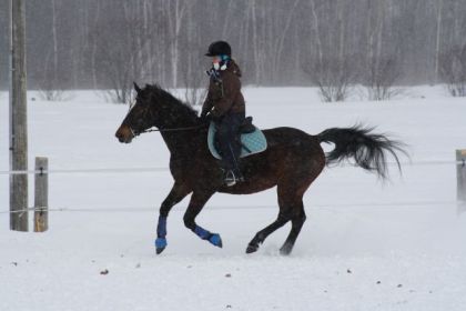 Au galop!