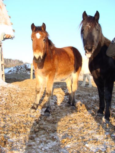 Diamond et Cici avec une grimace!