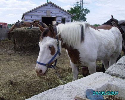 Encow une photo de mon Bucker ! :)