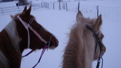 photo par joe4 lady speed quick et golden light suzie !!!