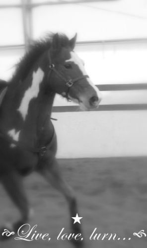 Je te love :)