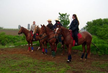 Voici des vrai cowboys sous la pluie!!!
