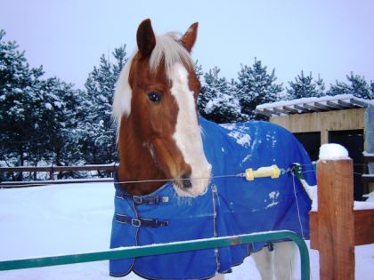 photo par Chamber