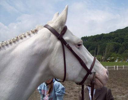 Casper a bromont :)