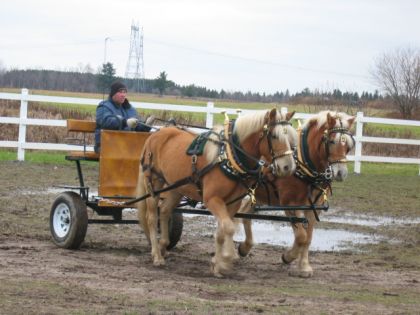 Premier essaie en double