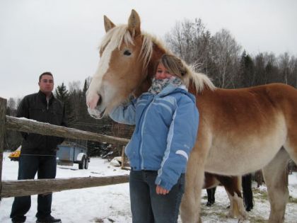 moi mon chum pis la belle daisy!(poulain belge)