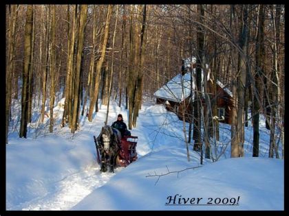 Après tant d'effort, Silver à la langue à terre! LOL .