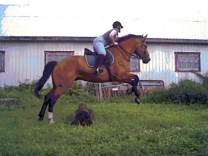 Petit saut amateur fait à la maison. 1 pied et demi peut etre....