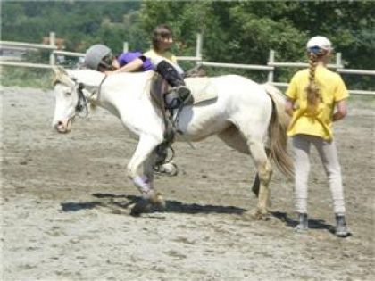 Horse ball avec quetchou