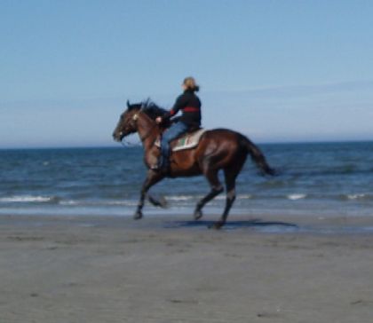Jolaine sur une standarbred sur la plage a matane 2005
