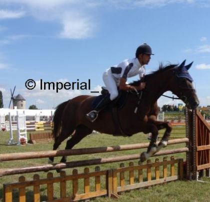 CSO du 15 août 2008