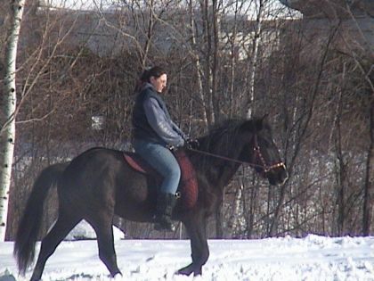 Ier essaie sans selle avec raven cet hiver. pas pire pen toute...