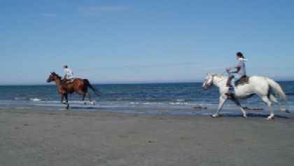 un galop sur la plage a matane été 2005 Étienne est en tête et...