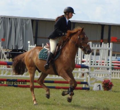 CSO  15août 2008