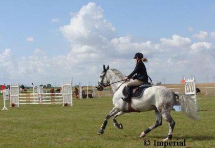 CSO  15août 2008