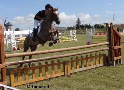 CSO  15août 2008